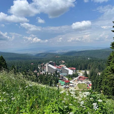 Ferienwohnung Arboro Borovets Gardens E68 Exterior foto